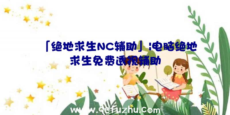 「绝地求生NC辅助」|电脑绝地求生免费透视辅助